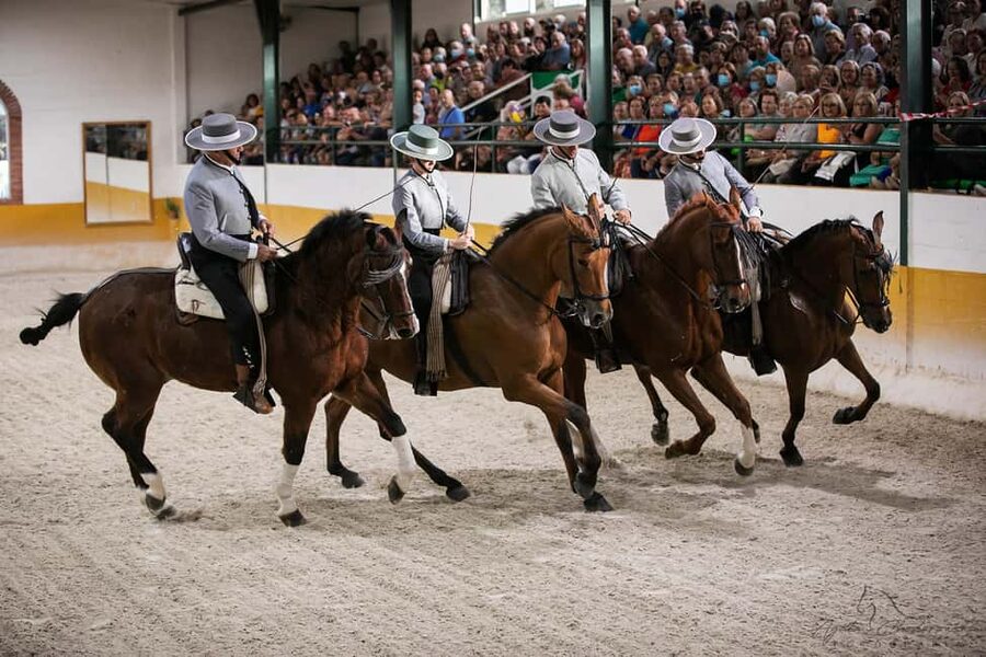 Torremolinos: Spanish horse show and flamenco with dinner option - Your Andalusian afternoon at El Ranchito in Torremolinos