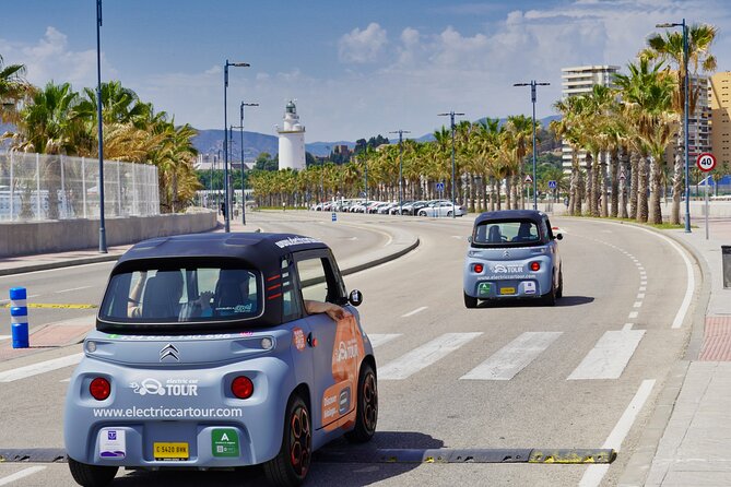 Tour Málaga by electric car: Discover the city in 2 hours - Shopping Center and Cruise Terminal Stops, More Useful Than They Sound