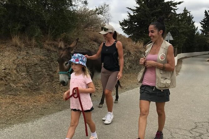 Tour the Sanctuary and Walk with the Donkeys and Share their Love - Getting there from Malaga without stress