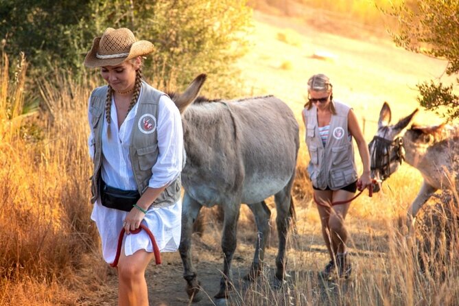 Tour the Sanctuary and Walk with the Donkeys and Share their Love - Price and value: is $66.16 a fair deal?