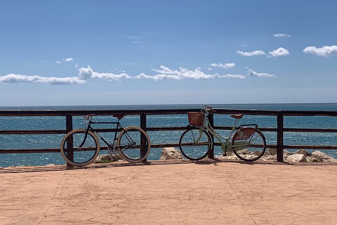 Vintage Style Bike Rental in Malaga - Getting set up at P.º Reding, 11 in Distrito Centro