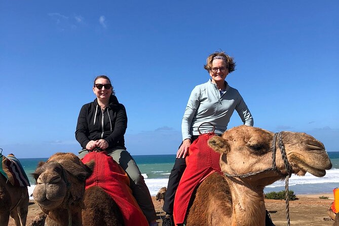 Vip Full Day Private Tangier Tour From Malaga All Inclusive - Tarifa to Tangier by direct ferry: your first taste of Morocco