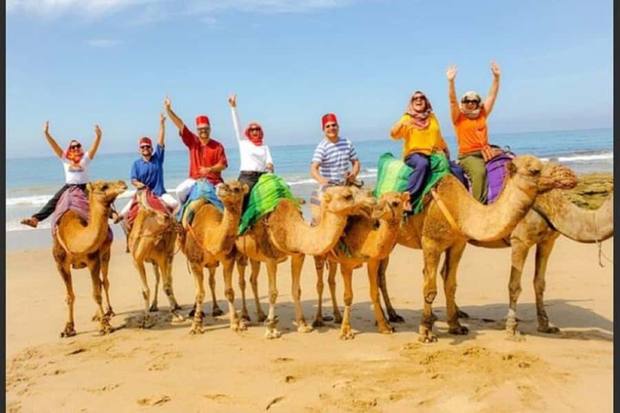 Vip Private Tangier Tour from Marbella with Ali All Included - Rmilat Park, Marshan Palace, and the first sea views