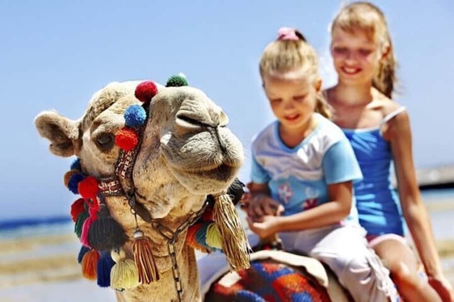 Vip Private Tangier Tour from Marbella with Ali All Included - Inside the kasbah area: Bab Kasbah and history on foot