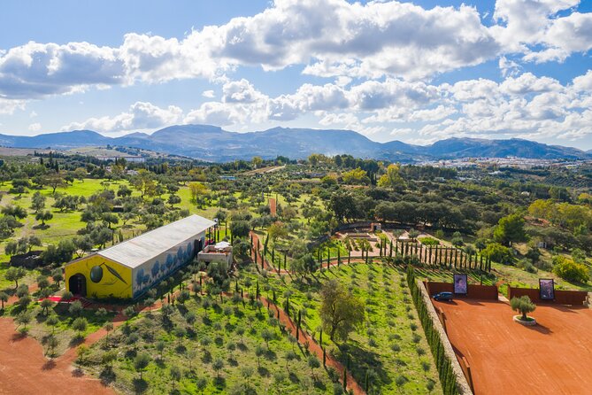 Visit Oil Mill Museum and Olive Oil Tasting in Ronda - Key highlights to know before you go