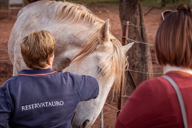 Visita Entre Toros y Caballos - The 12:00 pm timing and what to expect from a small group