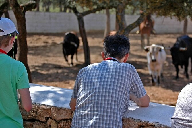 Visita Entre Toros y Caballos - Who should book this tour, and who might skip it