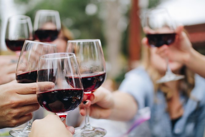 Wine, Tapas & Lake Zahara by e-bike incl Ronda pickup (full day) - Why the electric bike setup matters for your comfort