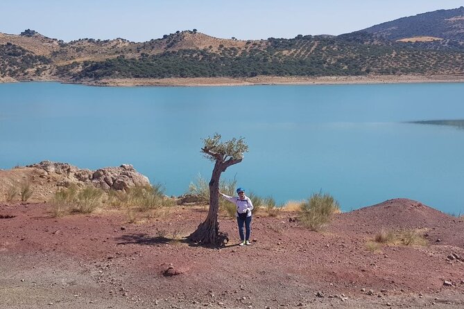 Wine, Tapas & Lake Zahara by e-bike incl Ronda pickup (full day) - Price and value: what your $165.61 includes