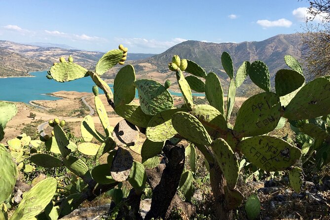 Wine, Tapas & Lake Zahara by e-bike incl Ronda pickup (full day) - Who this e-bike wine and tapas tour is best for