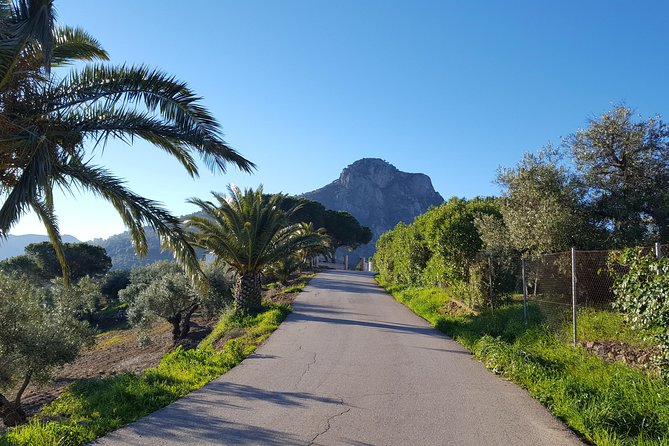 Wine & Tapas tour by electric bike (e-bike) including Ronda pickup (full day) - Stop 2, Montecorto: a second village with a bit more time