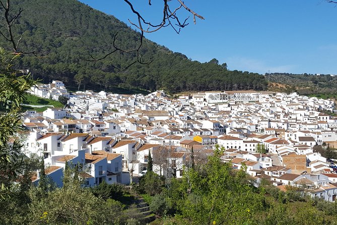 Wine & Tapas tour by electric bike (e-bike) including Ronda pickup (full day) - Tapas and wine breaks: the day’s real heart