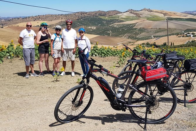 Wine & Tapas tour by electric bike (e-bike) including Ronda pickup (half day) - E-bike wine and tapas, the best kind of half-day near Ronda